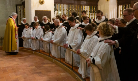 7 mennesker knæler ved en ordination i Helsingør Domkirke